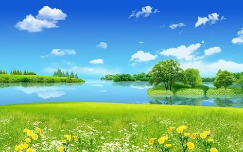 全自动全自动节能